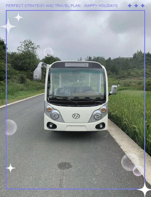 燃油观光车的报价及图片 燃油观光火车厂家