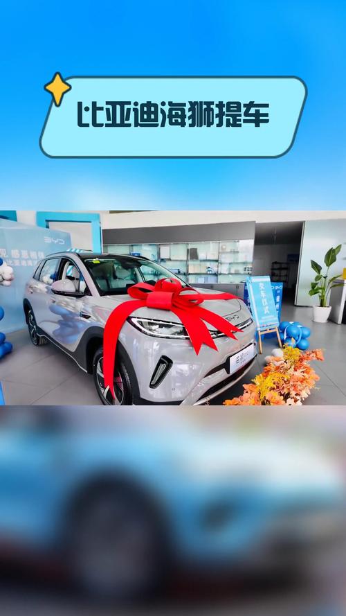 【江海购车网,江海购车网通看车团】