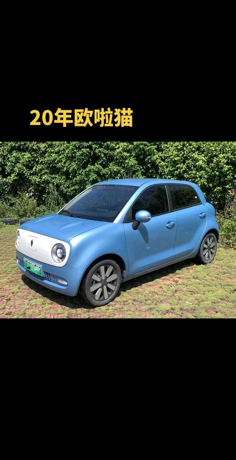 欧拉朋克猫预售价／欧拉朋克猫 售价