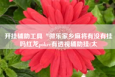 开挂辅助工具“微乐家乡麻将有没有挂吗红龙poker有透视辅助挂(太