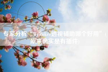 专家分析“WePoker透视辅助哪个好用”(原来确实是有插件)