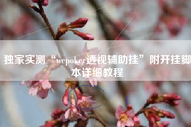 独家实测“wepoker透视辅助挂”附开挂脚本详细教程