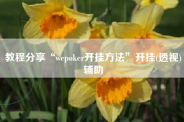 教程分享“wepoker开挂方法”开挂(透视)辅助