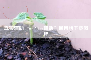 真实辅助“wePoker辅助	”通用版下载教程