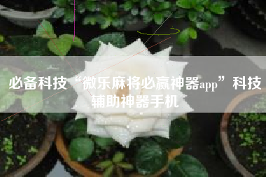 必备科技“微乐麻将必赢神器app”科技辅助神器手机