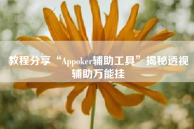 教程分享“Appoker辅助工具	”揭秘透视辅助万能挂