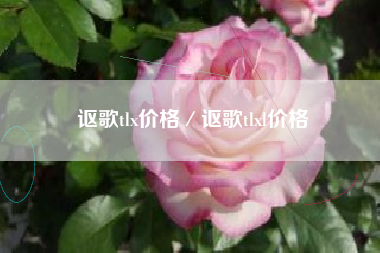 讴歌tlx价格／讴歌tlxl价格