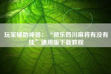 玩家辅助神器：“微乐四川麻将有没有挂”通用版下载教程