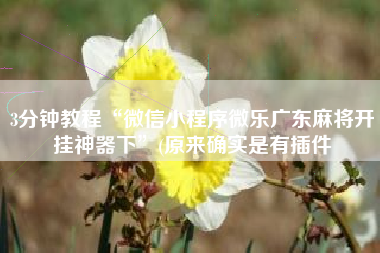 3分钟教程“微信小程序微乐广东麻将开挂神器下”(原来确实是有插件