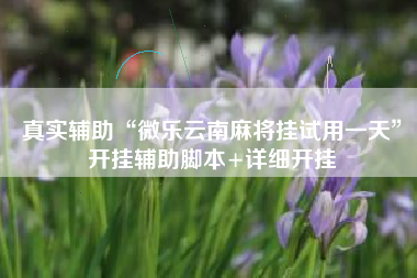 真实辅助“微乐云南麻将挂试用一天	”开挂辅助脚本+详细开挂