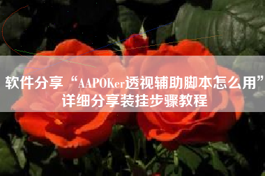 软件分享“AAPOKer透视辅助脚本怎么用	”详细分享装挂步骤教程