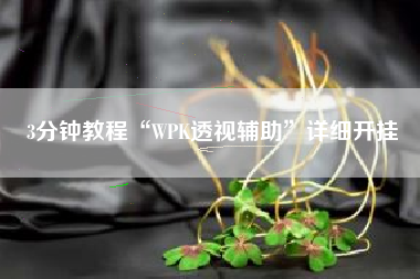 3分钟教程“WPK透视辅助”详细开挂