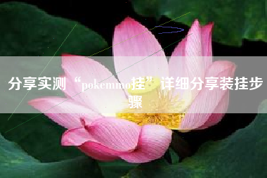 分享实测“pokemmo挂	”详细分享装挂步骤