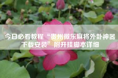 今日必看教程“贵州微乐麻将外卦神器下载安装”附开挂脚本详细