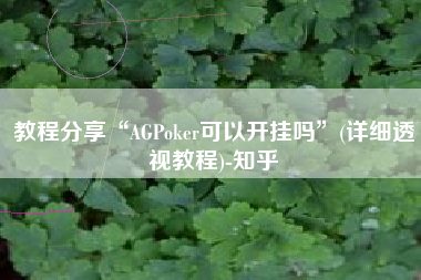 教程分享“AGPoker可以开挂吗”(详细透视教程)-知乎