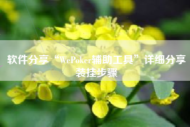 软件分享“WePoker辅助工具	”详细分享装挂步骤