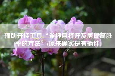 辅助开挂工具“雀神麻将好友房提高胜率的方法	”(原来确实是有插件)