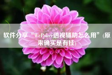 软件分享“WePoker透视辅助怎么用”(原来确实是有挂)