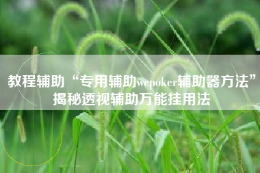 教程辅助“专用辅助wepoker辅助器方法”揭秘透视辅助万能挂用法