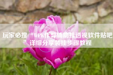 玩家必搜“WPK作弊辅助挂透视软件贴吧	”详细分享装挂步骤教程