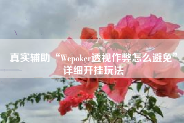 真实辅助“Wepoker透视作弊怎么避免”详细开挂玩法