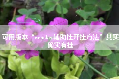 可用版本“wepoker辅助挂开挂方法”其实确实有挂