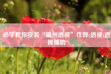 必学教你安装“德州透视”作弊(透视)透视辅助