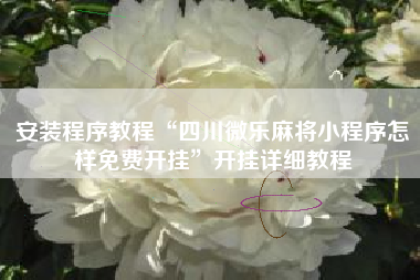 安装程序教程“四川微乐麻将小程序怎样免费开挂”开挂详细教程