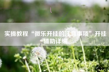 实操教程“微乐开挂的注意事项”开挂辅助详细