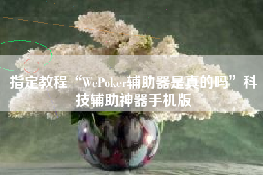 指定教程“WePoker辅助器是真的吗”科技辅助神器手机版