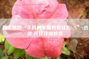 真实辅助“手机微乐麻将有挂吗b2b”(透视)开挂详细教程