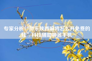 专家分析“微乐陕西麻将怎么开免费的挂”科技辅助神器手机