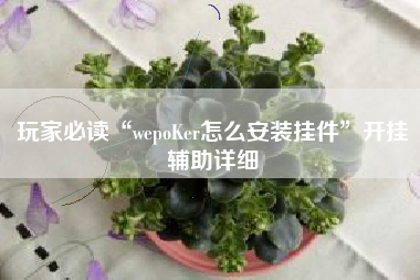 玩家必读“wepoKer怎么安装挂件”开挂辅助详细