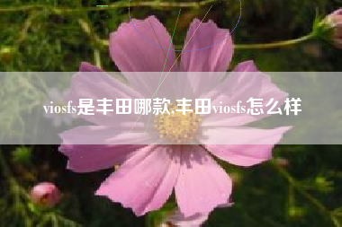 viosfs是丰田哪款,丰田viosfs怎么样