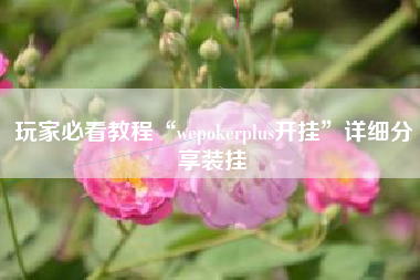 玩家必看教程“wepokerplus开挂	”详细分享装挂