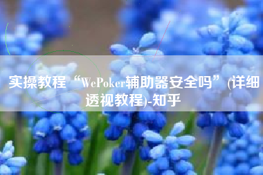 实操教程“WePoker辅助器安全吗	”(详细透视教程)-知乎
