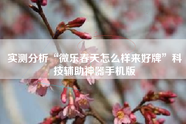 实测分析“微乐春天怎么样来好牌”科技辅助神器手机版