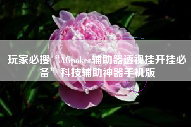玩家必搜“AGpoker辅助器透视挂开挂必备	”科技辅助神器手机版