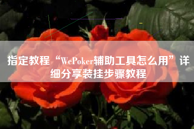 指定教程“WePoker辅助工具怎么用”详细分享装挂步骤教程