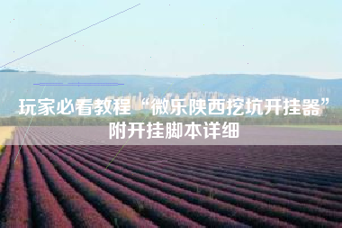 玩家必看教程“微乐陕西挖坑开挂器	”附开挂脚本详细