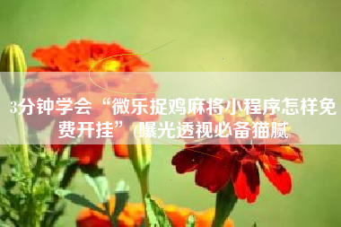 3分钟学会“微乐捉鸡麻将小程序怎样免费开挂	”(曝光透视必备猫腻