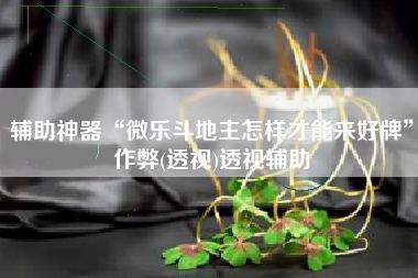 辅助神器“微乐斗地主怎样才能来好牌”作弊(透视)透视辅助