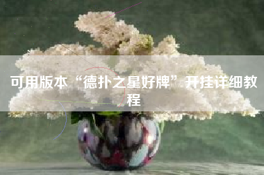 可用版本“德扑之星好牌”开挂详细教程