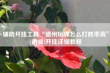 辅助开挂工具“德州短牌怎么打胜率高”(透视)开挂详细教程