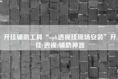 开挂辅助工具“wpk透视挂现场安装”开挂(透视)辅助神器