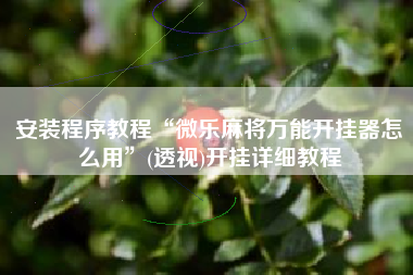 安装程序教程“微乐麻将万能开挂器怎么用”(透视)开挂详细教程