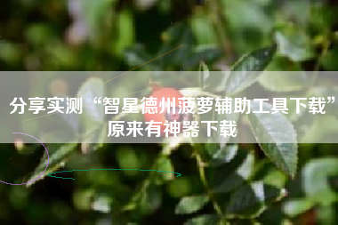 分享实测“智星德州菠萝辅助工具下载”原来有神器下载