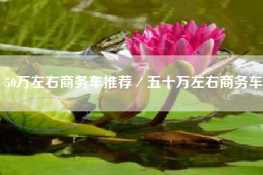 50万左右商务车推荐／五十万左右商务车