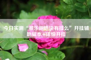 今日实测“微乐跑地块有挂么	”开挂辅助脚本+详细开挂