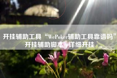 开挂辅助工具“WePoker辅助工具靠谱吗”开挂辅助脚本+详细开挂